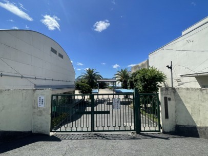 藤井寺市惣社、土地の小学校画像です