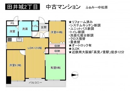 松原市田井城、中古マンションの間取り画像です