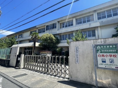 羽曳野市翠鳥園、新築一戸建ての小学校画像です