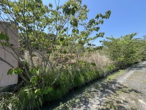 草津市芦浦町の土地の画像です