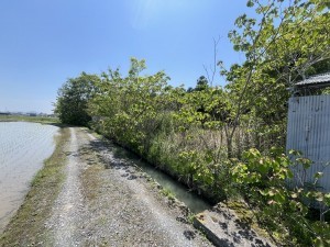 草津市芦浦町の土地の画像です