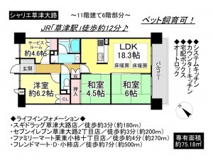 草津市大路３丁目のマンションの画像です