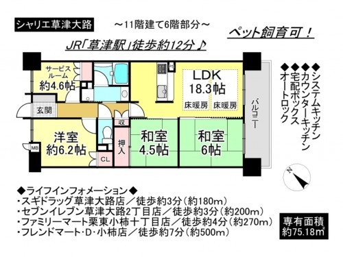 草津市大路３丁目、マンションの間取り画像です