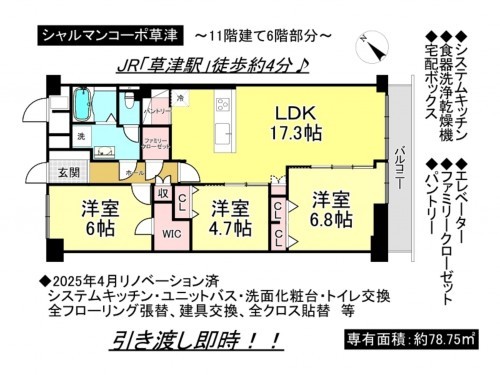 草津市西大路町、マンションの間取り画像です