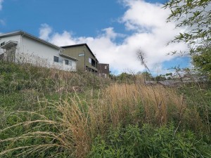 草津市岡本町の土地の画像です