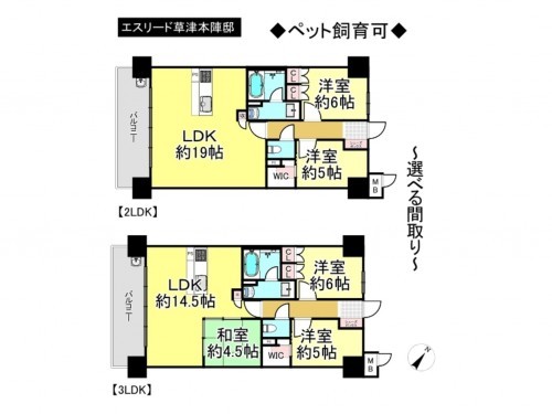 草津市草津２丁目、マンションの間取り画像です