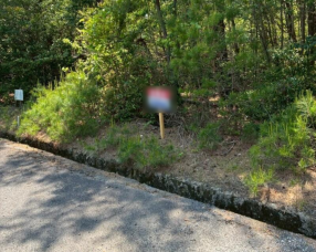 前面道路を含む現地写真