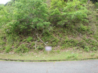 前面道路を含む現地写真