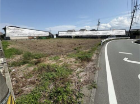 前面道路を含む現地写真
