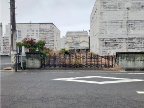 前面道路を含む現地写真