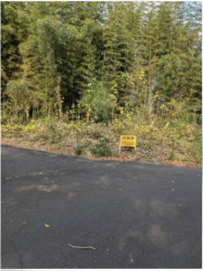 前面道路を含む現地写真