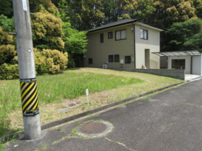 前面道路を含む現地写真
