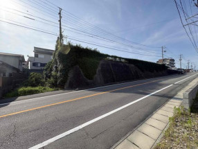 前面道路を含む現地写真