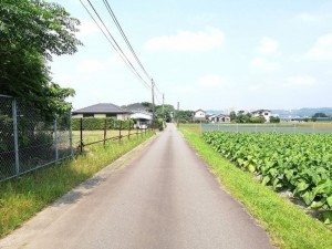 宮崎市村角町、土地の画像です