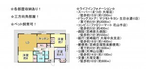 宮崎市福島町、マンションの間取り画像です