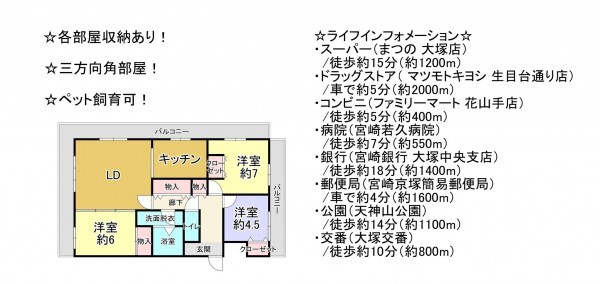 宮崎市福島町、マンションの間取り画像です