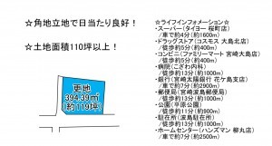 宮崎市大島町、土地の間取り画像です