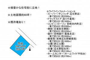 宮崎市瓜生野、土地の間取り画像です
