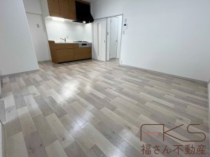 大阪市城東区関目、マンションの居間画像です