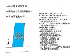 宮崎市大島町、土地の間取り画像です