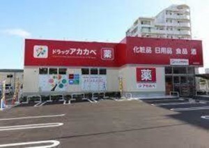 大阪市城東区新喜多東、マンションのドラッグストア画像です