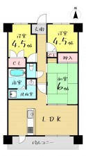 大阪市生野区中川、マンションの間取り画像です