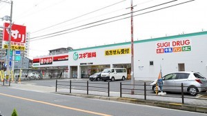 大阪市城東区永田、マンションのドラッグストア画像です