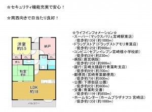 宮崎市吉村町、マンションの間取り画像です