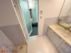 大阪市城東区鴫野西、マンションの洗面画像です