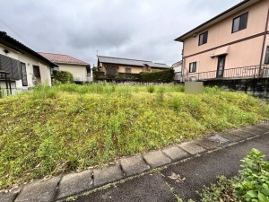 東諸県郡国富町、土地の画像です