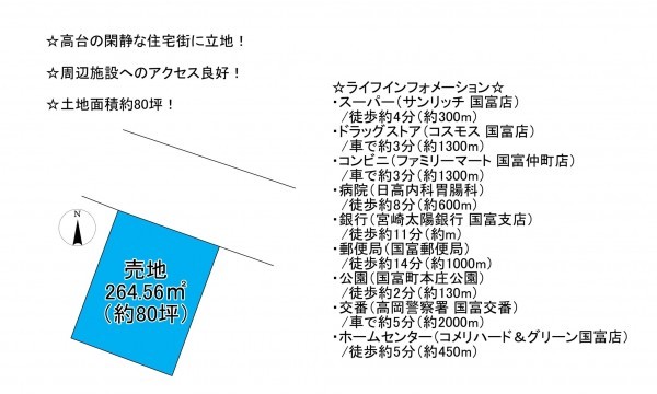 東諸県郡国富町、土地の間取り画像です