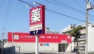 大阪市生野区中川、中古一戸建てのドラッグストア画像です