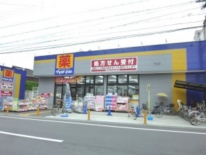 大阪市城東区諏訪、中古一戸建てのドラッグストア画像です