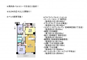 宮崎市神宮東、マンションの間取り画像です