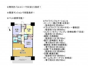 宮崎市松橋、マンションの間取り画像です