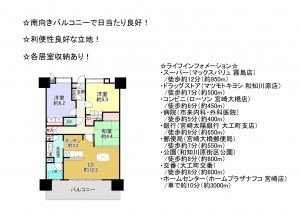 宮崎市大橋、マンションの間取り画像です