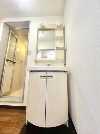 大阪市鶴見区今津中、マンションの洗面画像です