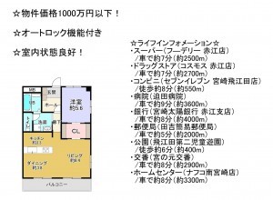 宮崎市赤江、マンションの間取り画像です