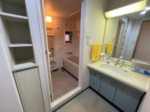 大阪市都島区毛馬町、マンションの洗面画像です