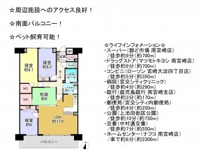 宮崎市恒久、マンションの間取り画像です