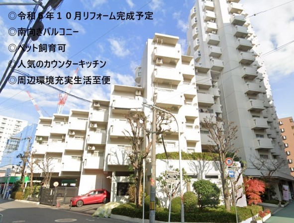 大阪市城東区中央、マンションの外観画像です