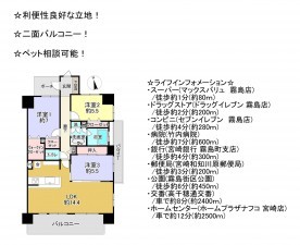 宮崎市霧島、マンションの間取り画像です