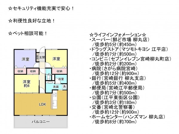 宮崎市柳丸町、マンションの間取り画像です