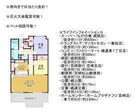 宮崎市川原町、マンションの間取り画像です