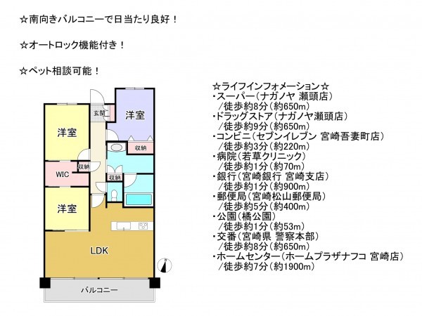 宮崎市松山、マンションの間取り画像です