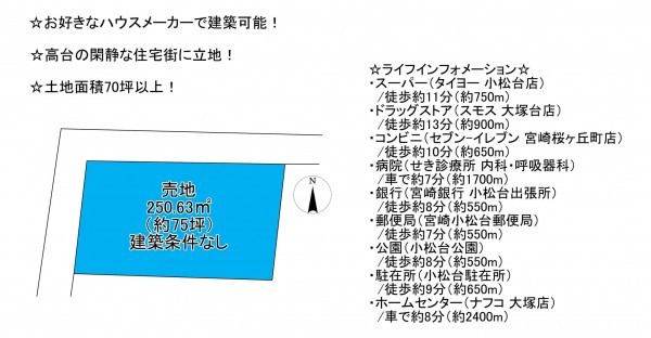 宮崎市桜ケ丘町、土地の間取り画像です