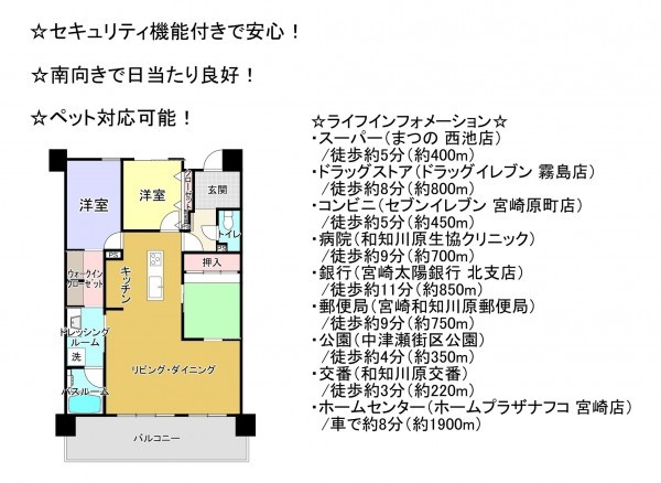 宮崎市中津瀬町、マンションの間取り画像です