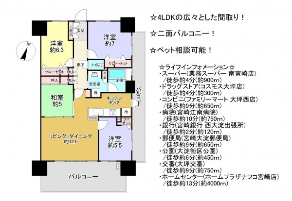 宮崎市京塚、マンションの間取り画像です