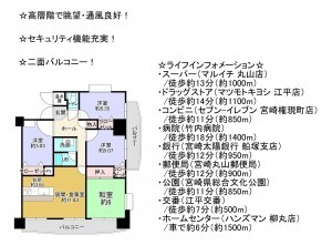 宮崎市神宮東、マンションの間取り画像です