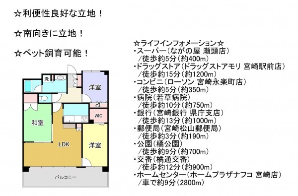 宮崎市鶴島、マンションの間取り画像です